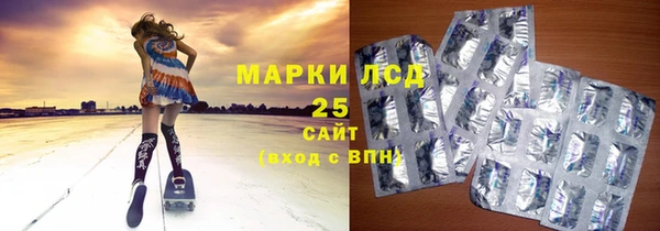 гидра Бородино