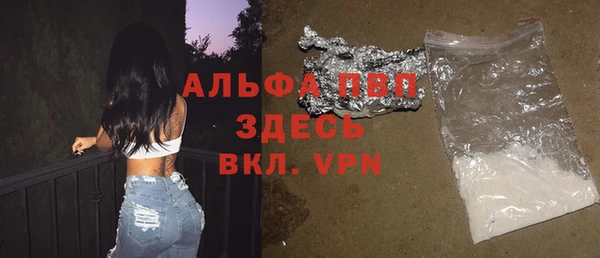 ECSTASY Богородицк