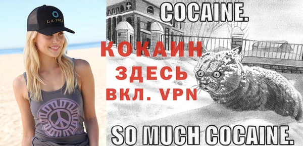 ECSTASY Богородицк