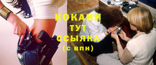 ECSTASY Богородицк