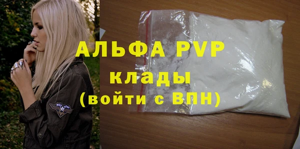 ECSTASY Богородицк
