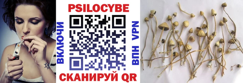 Галлюциногенные грибы GOLDEN TEACHER  Закаменск 